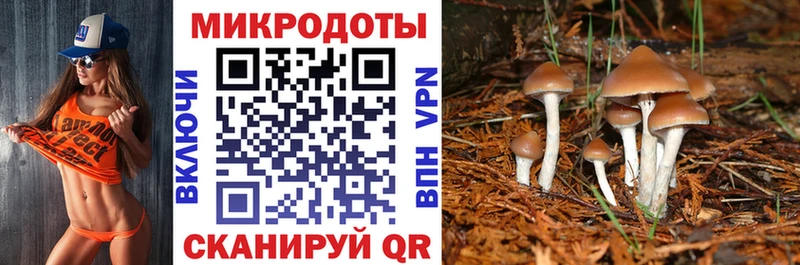 Галлюциногенные грибы прущие грибы  купить закладку  Шарья 